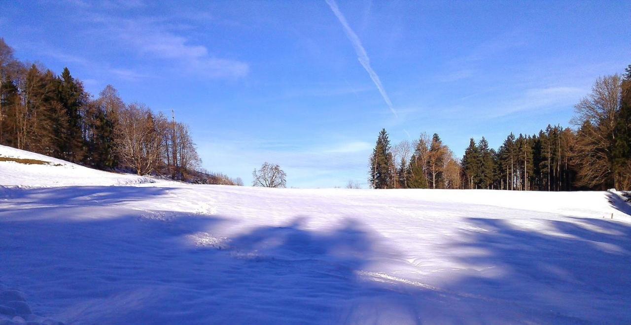 Pension Zur Altdeutschen Zschopau Exteriér fotografie